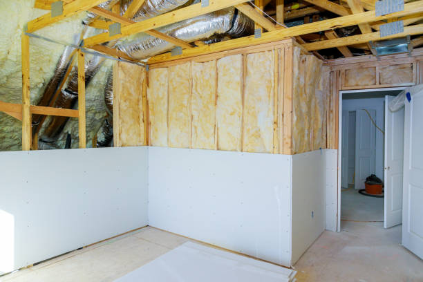 Best Insulation Inspection Services  in USA